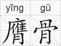 膺骨的拼音