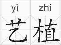 艺植的拼音