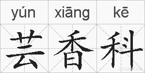芸香科的拼音