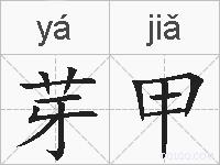 芽甲的拼音