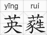 英蕤的拼音