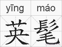 英髦的拼音