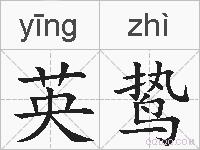 英鸷的拼音