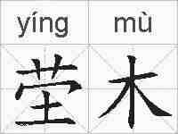 茔木的拼音