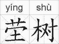 茔树的拼音