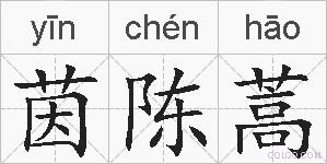 茵陈蒿的拼音