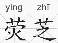 荧芝的拼音