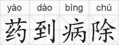 药到病除的拼音