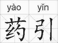药引的拼音