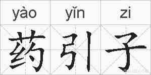 药引子的拼音