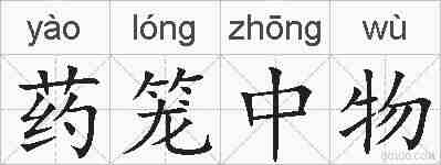 药笼中物的拼音