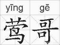 莺哥的拼音