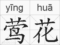 莺花的拼音
