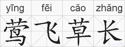 莺飞草长的拼音