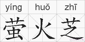 萤火芝的拼音