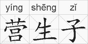 营生子的拼音