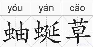 蚰蜒草的拼音