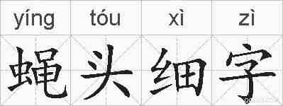 蝇头细字的拼音