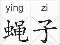 蝇子的拼音