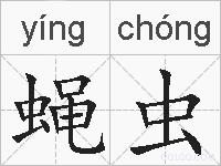 蝇虫的拼音