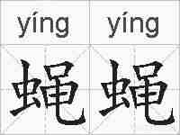 蝇蝇的拼音