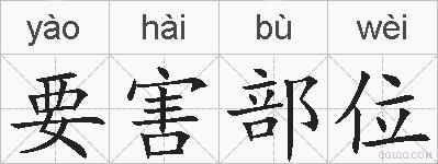 要害部位的拼音