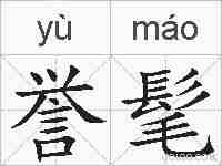 誉髦的拼音