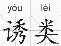 诱类的拼音