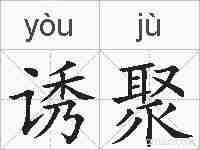诱聚的拼音