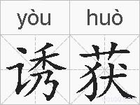 诱获的拼音