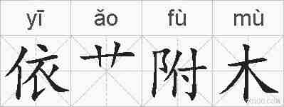 依艹附木的拼音