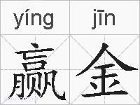 赢金的拼音
