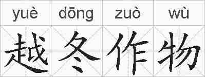 越冬作物的拼音