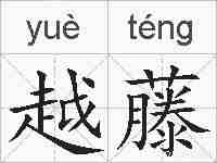 越藤的拼音