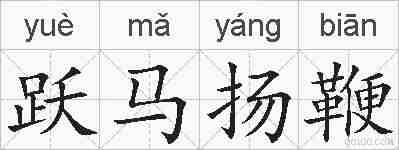 跃马扬鞭的拼音