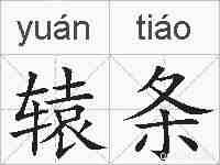 辕条的拼音