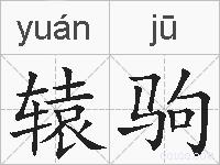 辕驹的拼音
