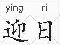 迎日的拼音