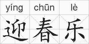 迎春乐的拼音