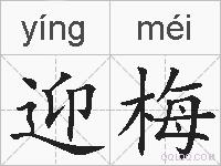 迎梅的拼音