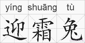 迎霜兔的拼音