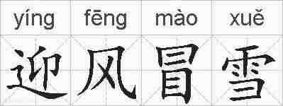 迎风冒雪的拼音