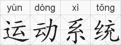 运动系统的拼音