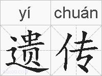 遗传的拼音