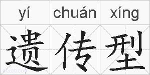 遗传型的拼音
