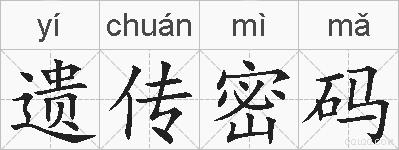 遗传密码的拼音