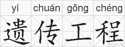 遗传工程的拼音