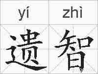 遗智的拼音