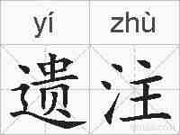 遗注的拼音