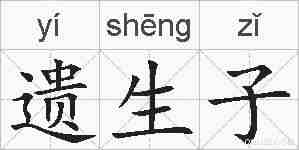 遗生子的拼音